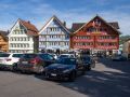 Eschen-Aktiv_0049-26