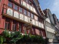 Eschen-Aktiv_0049-28