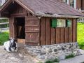 Eschen-Aktiv_0049-52