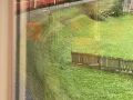 IMG-20211002-WA0012