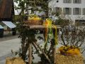 130308_Eschen-AktivDSC_0006 (Kopie)
