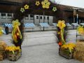 130308_Eschen-AktivDSC_0025 (Kopie)