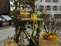 130308_eschen-aktivdsc_0006