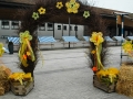 130308_eschen-aktivdsc_0025