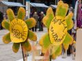 130309_Eschen-Aktiv_DIE6981 (Kopie)